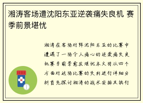 湘涛客场遭沈阳东亚逆袭痛失良机 赛季前景堪忧