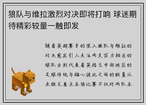 狼队与维拉激烈对决即将打响 球迷期待精彩较量一触即发