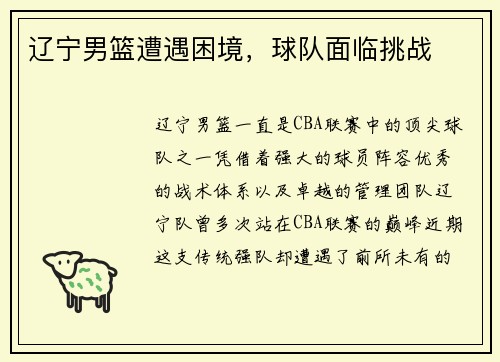 辽宁男篮遭遇困境，球队面临挑战