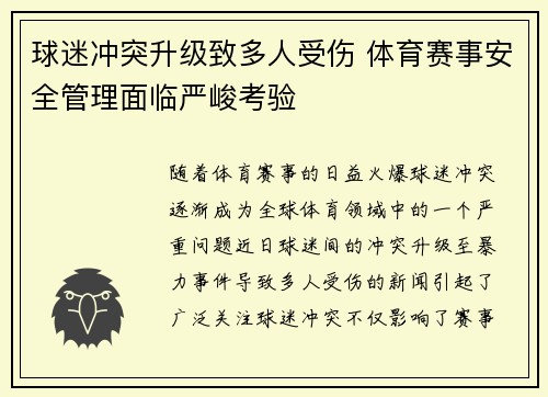 球迷冲突升级致多人受伤 体育赛事安全管理面临严峻考验