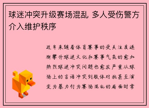 球迷冲突升级赛场混乱 多人受伤警方介入维护秩序